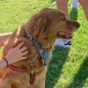 Meet your Posher, Kylie